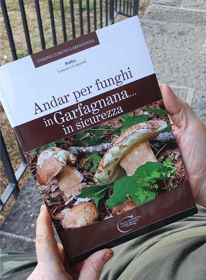 Corfino Alpeggio Prunoヴィラ エクステリア 写真